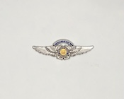 USCG Auxiliary air crew wings miniature device - front